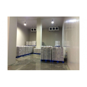 電商生鮮冷庫生產