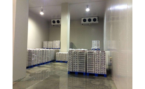 電商生鮮冷庫(kù)生產(chǎn)(圖1) 電商生鮮冷庫(kù)生產(chǎn)(圖1)