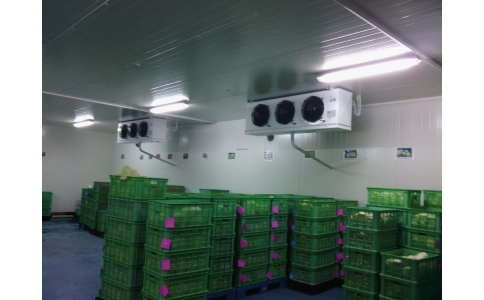 食品加工冷庫(kù)(圖1)